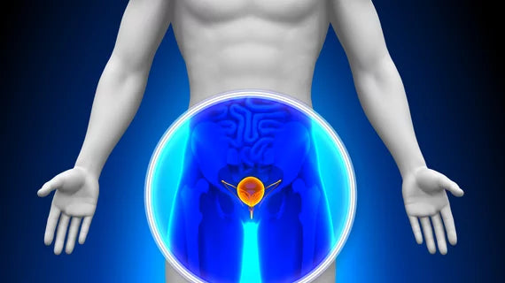 Cum Să Menții Sănătatea Prostatei pe Măsură ce Îmbătrânești